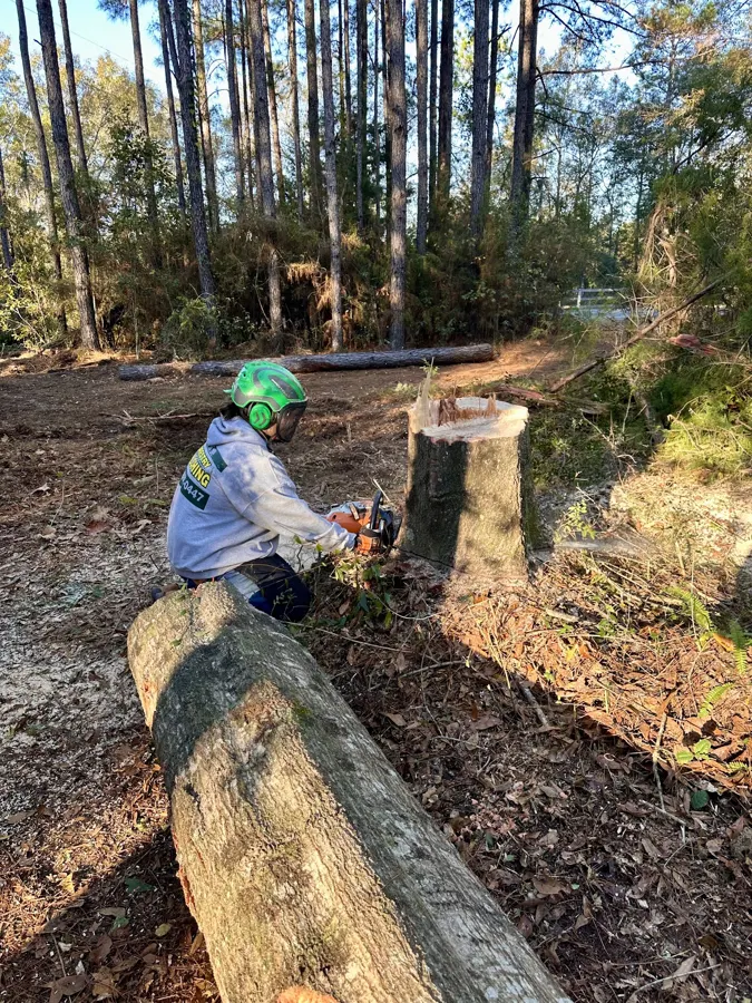 Crew cutting up a fallen tree