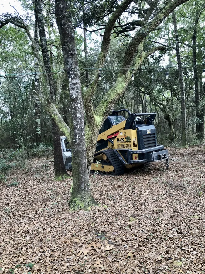 Skid steer at work under an oak