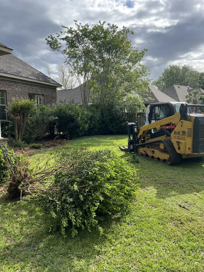 Skid steer in a front yard